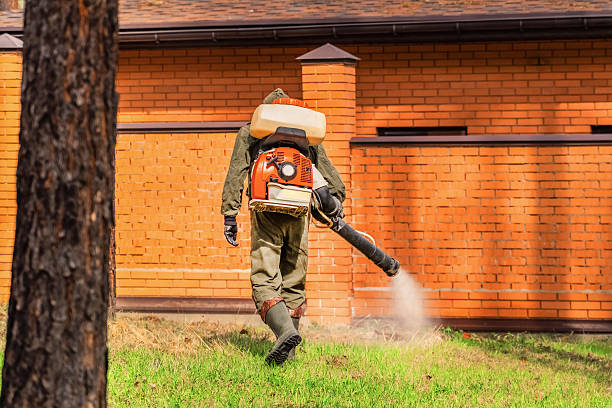 Trusted Rodent Control service in Ellerslie, GA - Nex Pest Control